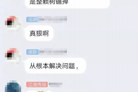 新城专业讨债公司，追讨消失的老赖